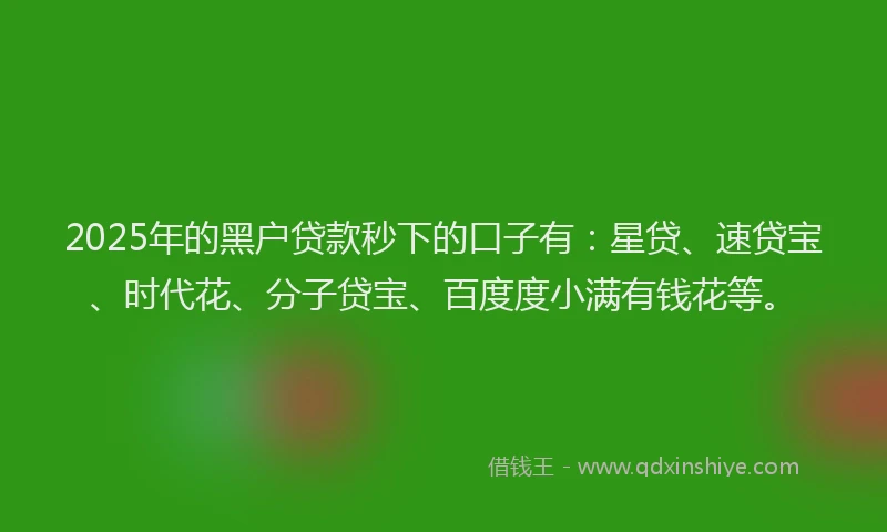 2025年的黑户贷款秒下的口子有：星贷、速贷宝、时代花、分子贷宝、百度度小满有钱花等。
