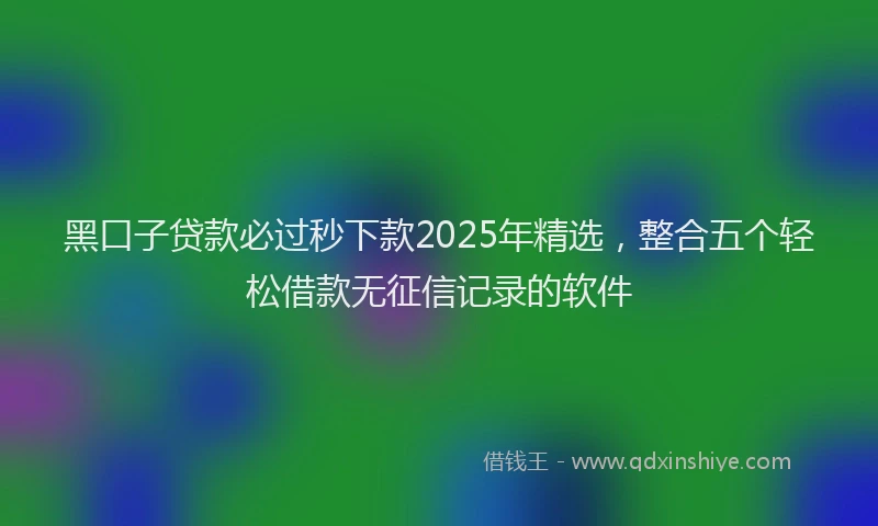 黑口子贷款必过秒下款2025年精选，整合五个轻松借款无征信记录的软件