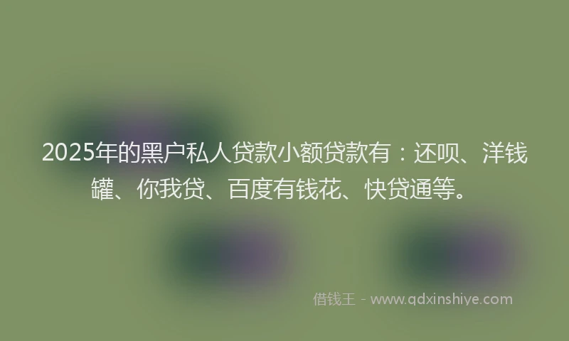 2025年的黑户私人贷款小额贷款有：还呗、洋钱罐、你我贷、百度有钱花、快贷通等。