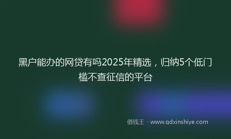 黑户能办的网贷有吗2025年精选，归纳5个低门槛不查征信的平台