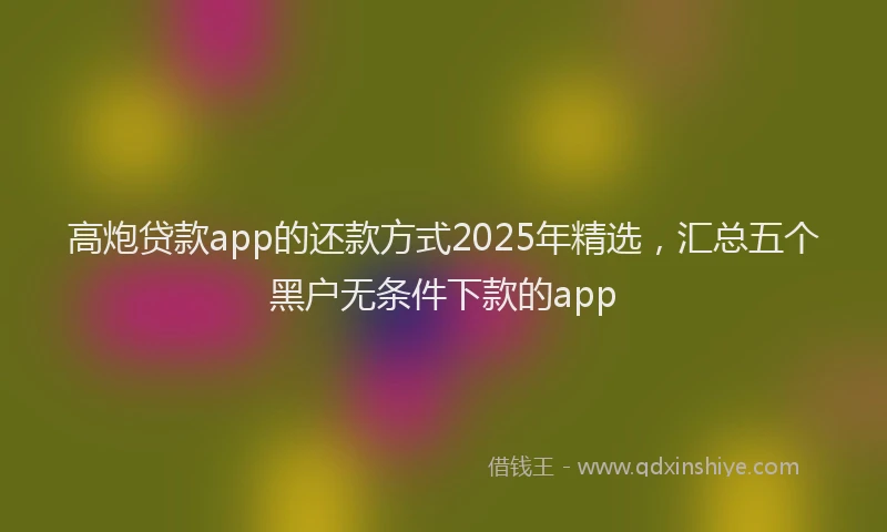 高炮贷款app的还款方式2025年精选，汇总五个黑户无条件下款的app