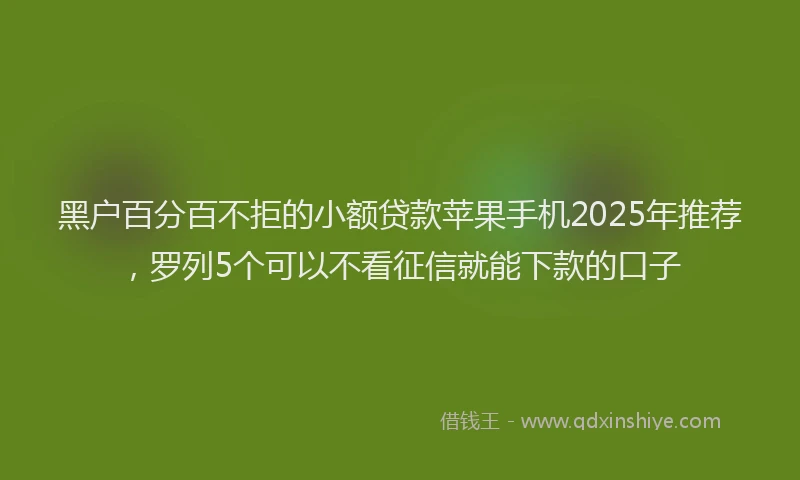 黑户百分百不拒的小额贷款苹果手机2025年推荐,罗列5个可以不看征信就能下款的口子