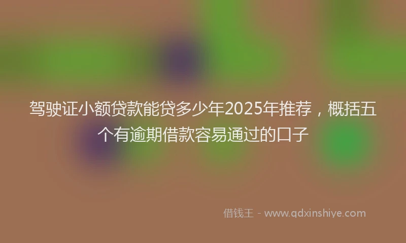 驾驶证小额贷款能贷多少年2025年推荐，概括五个有逾期借款容易通过的口子