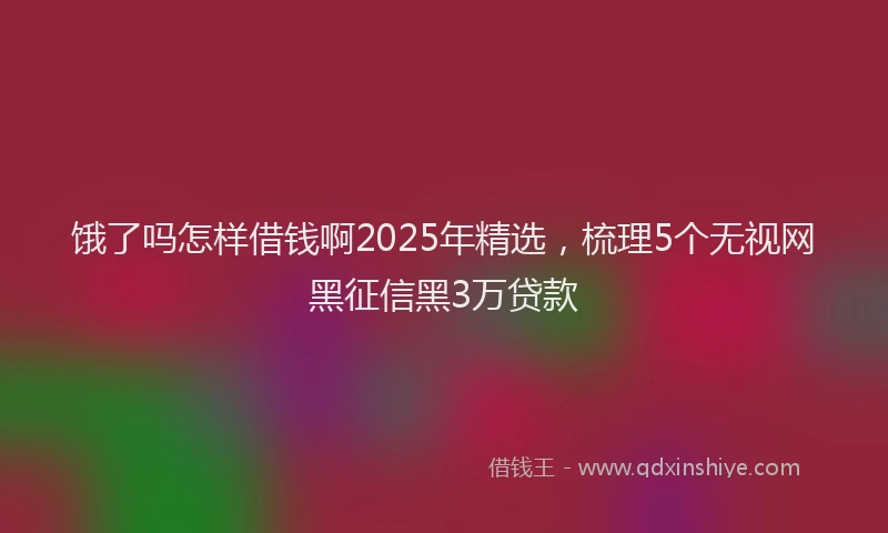 饿了吗怎样借钱啊2025年精选，梳理5个无视网黑征信黑3万贷款