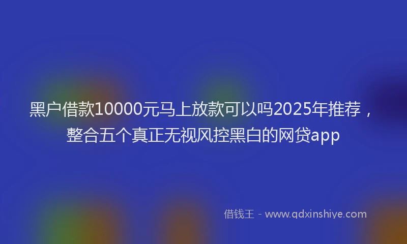 黑户借款10000元马上放款可以吗2025年推荐，整合五个真正无视风控黑白的网贷app