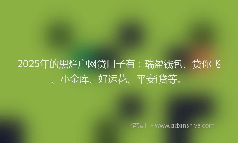 2025年的黑烂户网贷口子有：瑞盈钱包、贷你飞、小金库、好运花、平安i贷等。