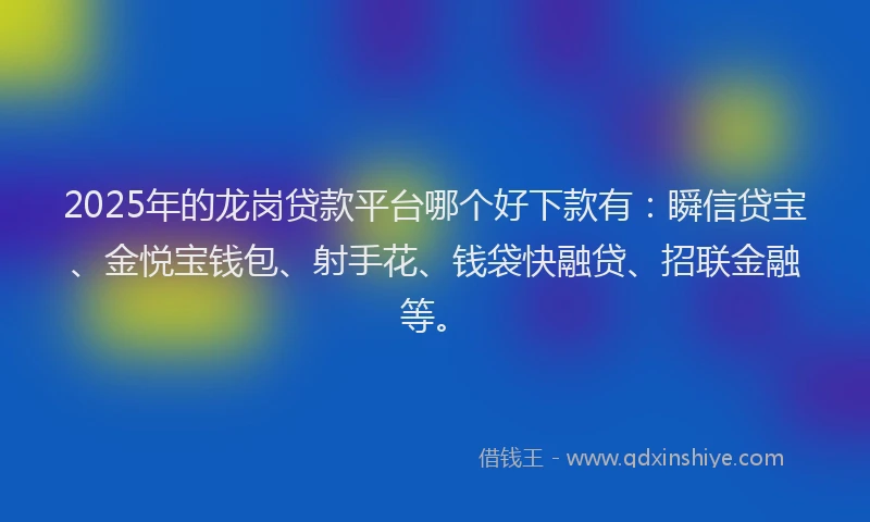 2025年的龙岗贷款平台哪个好下款有：瞬信贷宝、金悦宝钱包、射手花、钱袋快融贷、招联金融等。