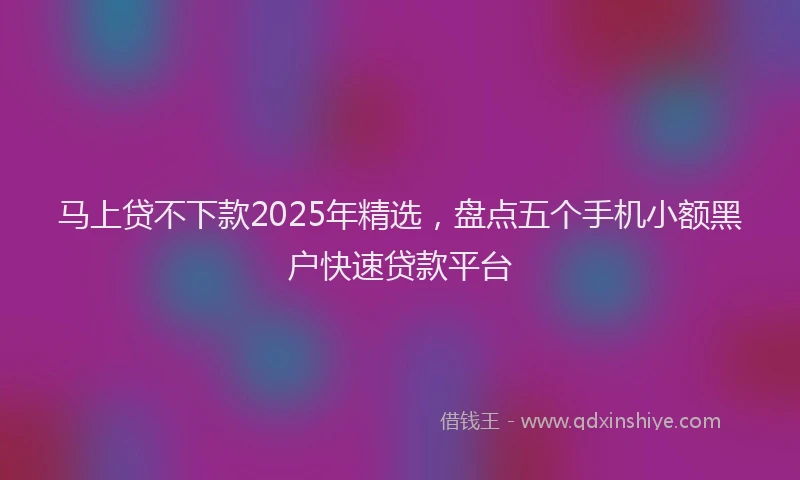 马上贷不下款2025年精选，盘点五个手机小额黑户快速贷款平台