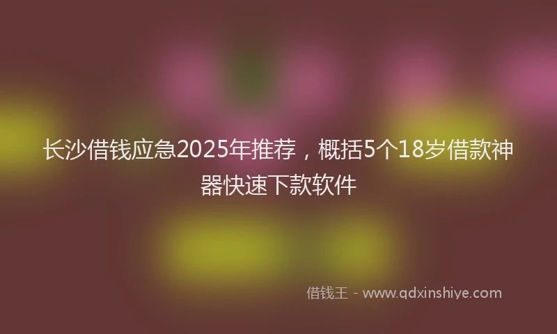 长沙借钱应急2025年推荐，概括5个18岁借款神器快速下款软件
