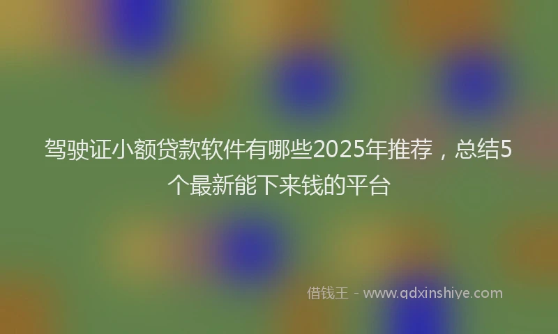 驾驶证小额贷款软件有哪些2025年推荐，总结5个最新能下来钱的平台