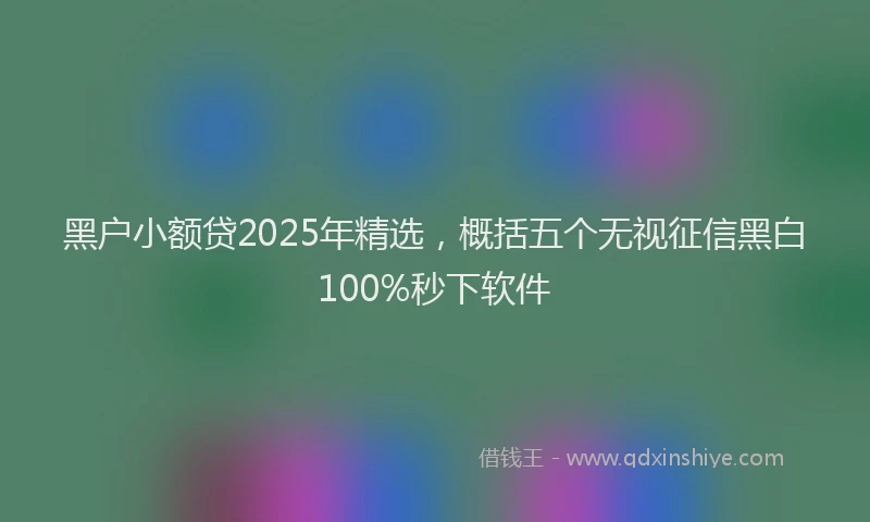 黑户小额贷2025年精选，概括五个无视征信黑白100%秒下软件