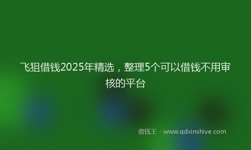 飞狙借钱2025年精选，整理5个可以借钱不用审核的平台