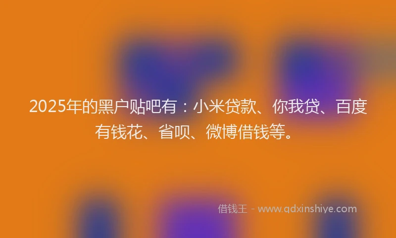 2025年的黑户贴吧有：小米贷款、你我贷、百度有钱花、省呗、微博借钱等。