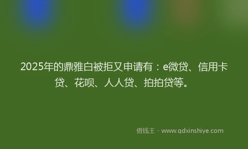 2025年的鼎雅白被拒又申请有：e微贷、信用卡贷、花呗、人人贷、拍拍贷等。