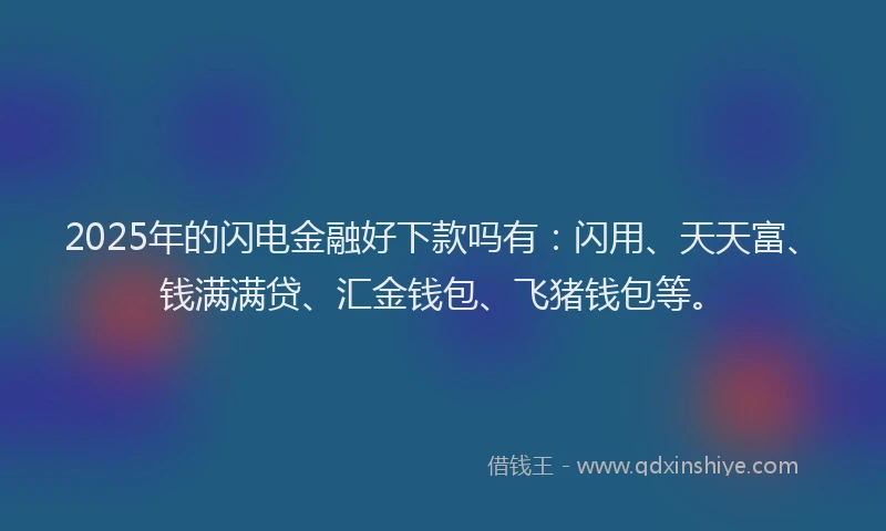 2025年的闪电金融好下款吗有:闪用、天天富、钱满满贷、汇金钱包、飞猪钱包等。