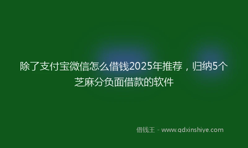 除了支付宝微信怎么借钱2025年推荐，归纳5个芝麻分负面借款的软件