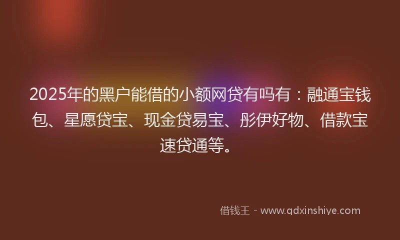 2025年的黑户能借的小额网贷有吗有：融通宝钱包、星愿贷宝、现金贷易宝、彤伊好物、借款宝速贷通等。