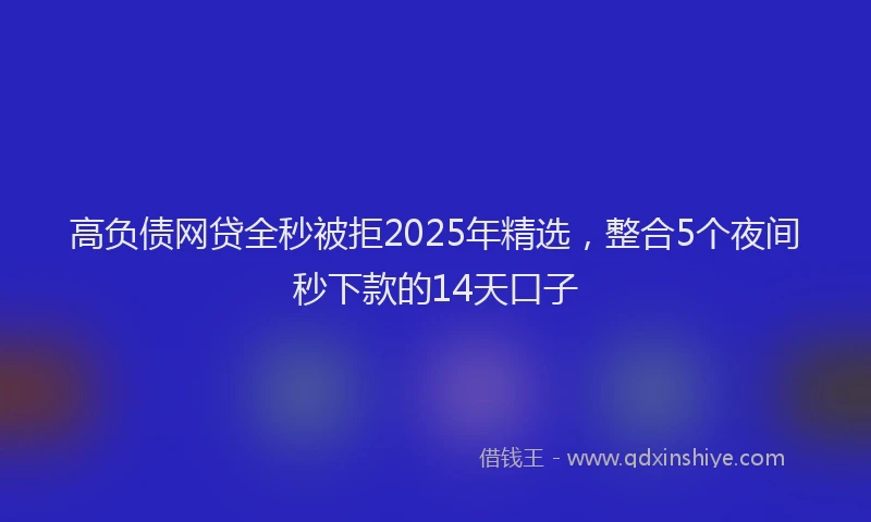 高负债网贷全秒被拒2025年精选，整合5个夜间秒下款的14天口子