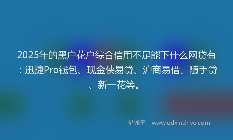 2025年的黑户花户综合信用不足能下什么网贷有：迅捷Pro钱包、现金侠易贷、沪商易借、随手贷、新一花等。