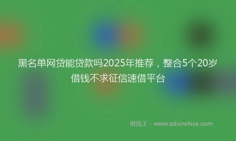 黑名单网贷能贷款吗2025年推荐，整合5个20岁借钱不求征信速借平台