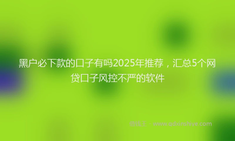 黑户必下款的口子有吗2025年推荐，汇总5个网贷口子风控不严的软件