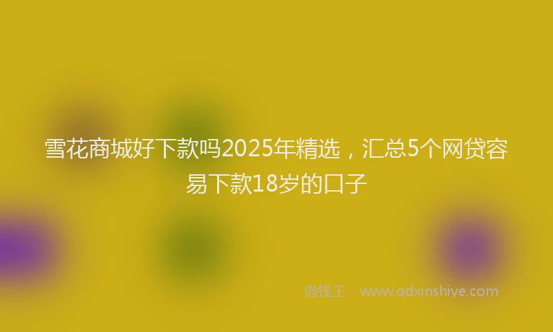 雪花商城好下款吗2025年精选，汇总5个网贷容易下款18岁的口子