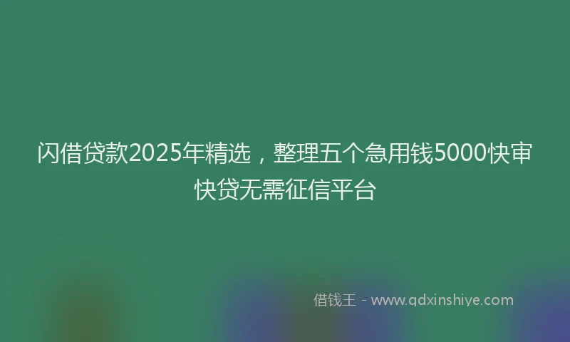 闪借贷款2025年精选，整理五个急用钱5000快审快贷无需征信平台