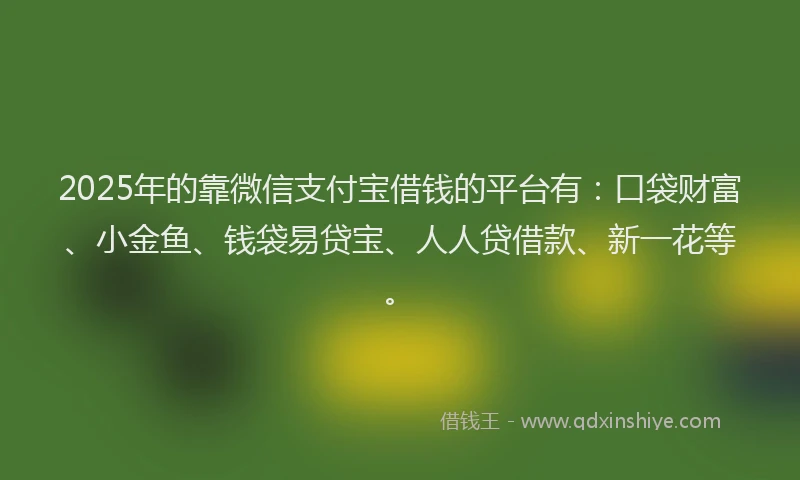 2025年的靠微信支付宝借钱的平台有：口袋财富、小金鱼、钱袋易贷宝、人人贷借款、新一花等。
