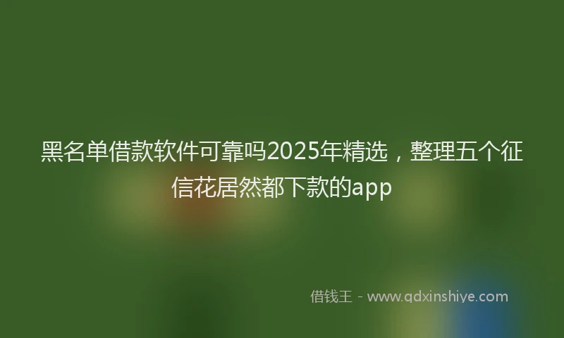 黑名单借款软件可靠吗2025年精选，整理五个征信花居然都下款的app