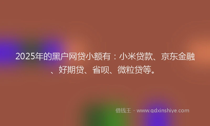 2025年的黑户网贷小额有：小米贷款、京东金融、好期贷、省呗、微粒贷等。