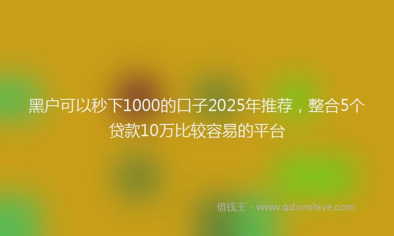 黑户可以秒下1000的口子2025年推荐，整合5个贷款10万比较容易的平台