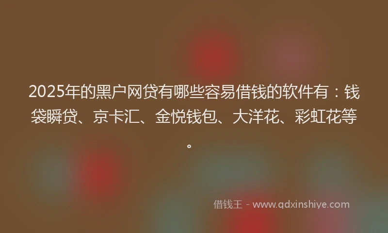 2025年的黑户网贷有哪些容易借钱的软件有：钱袋瞬贷、京卡汇、金悦钱包、大洋花、彩虹花等。
