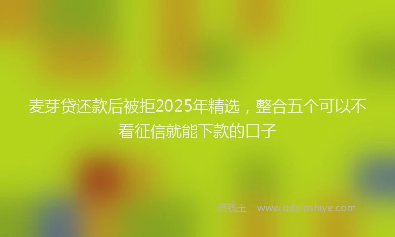 麦芽贷还款后被拒2025年精选，整合五个可以不看征信就能下款的口子