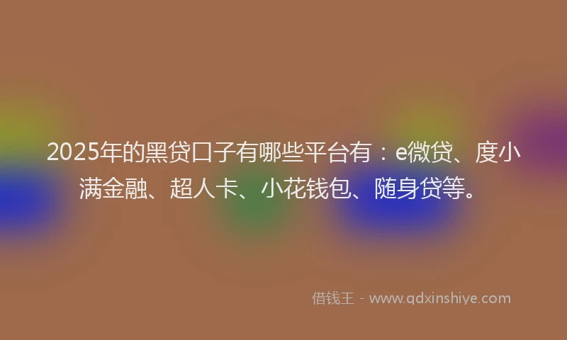 2025年的黑贷口子有哪些平台有：e微贷、度小满金融、超人卡、小花钱包、随身贷等。