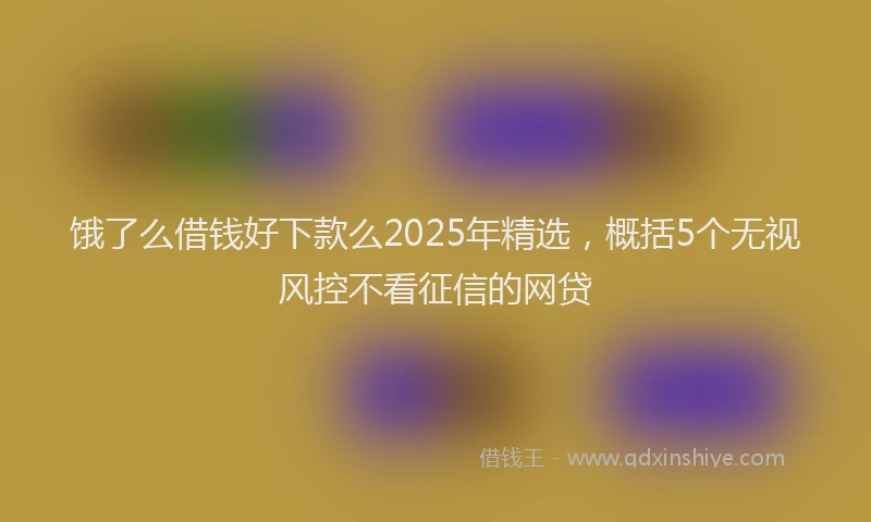 饿了么借钱好下款么2025年精选，概括5个无视风控不看征信的网贷