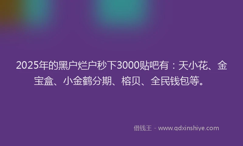 2025年的黑户烂户秒下3000贴吧有：天小花、金宝盒、小金鹤分期、榕贝、全民钱包等。