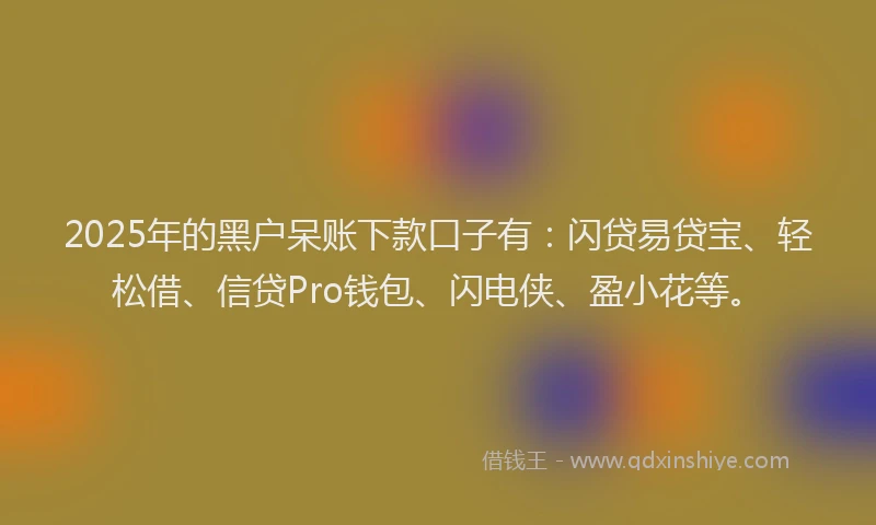 2025年的黑户呆账下款口子有：闪贷易贷宝、轻松借、信贷Pro钱包、闪电侠、盈小花等。