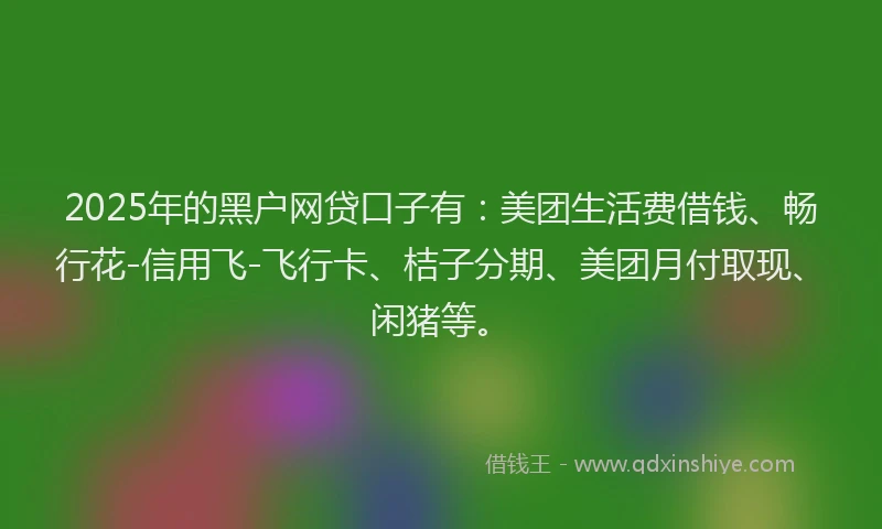 2025年的黑户网贷口子有：美团生活费借钱、畅行花-信用飞-飞行卡、桔子分期、美团月付取现、闲猪等。