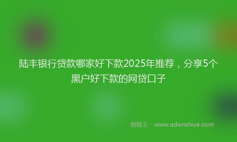 陆丰银行贷款哪家好下款2025年推荐，分享5个黑户好下款的网贷口子