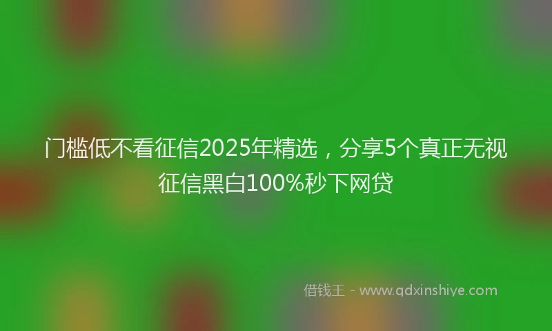 门槛低不看征信2025年精选，分享5个真正无视征信黑白100%秒下网贷