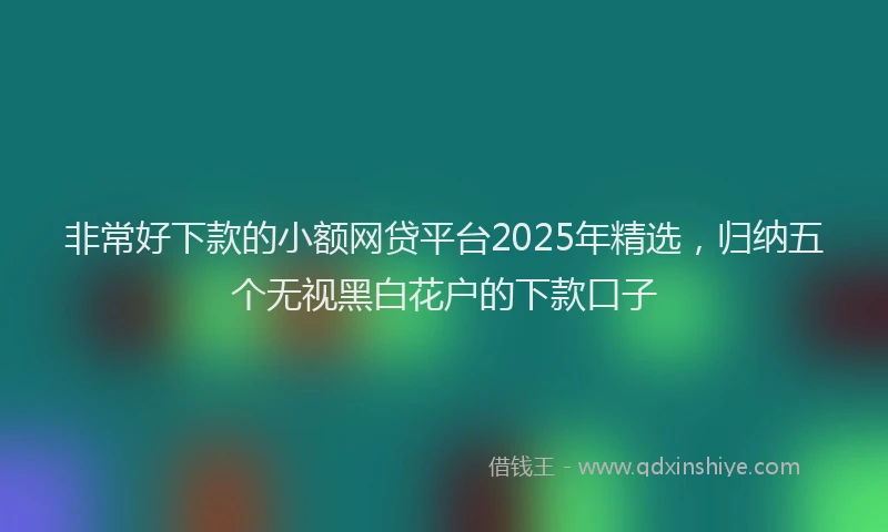 非常好下款的小额网贷平台2025年精选，归纳五个无视黑白花户的下款口子