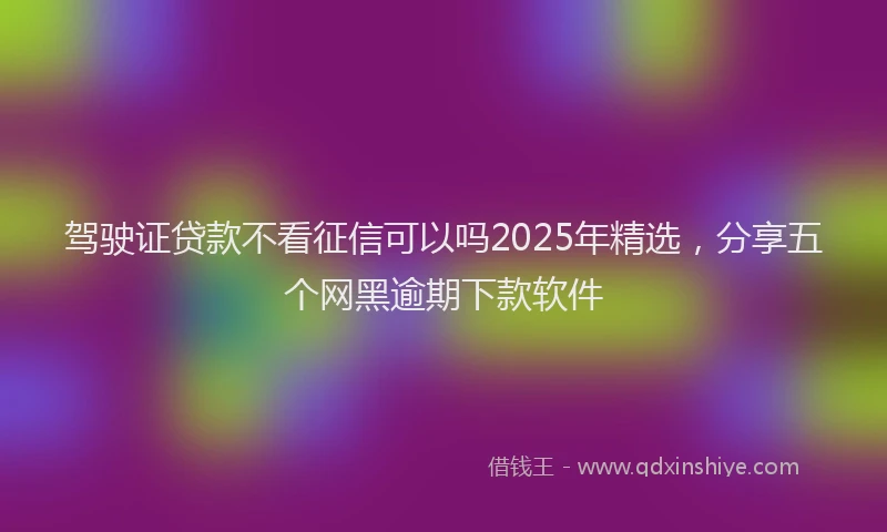 驾驶证贷款不看征信可以吗2025年精选，分享五个网黑逾期下款软件