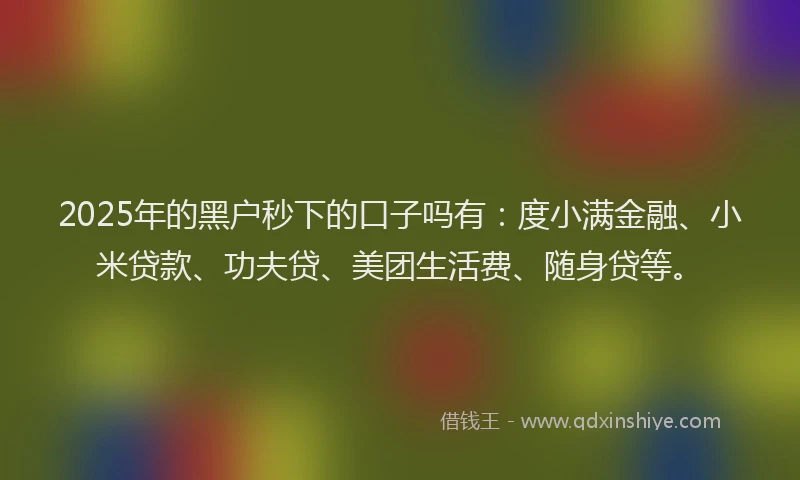 2025年的黑户秒下的口子吗有:度小满金融、小米贷款、功夫贷、美团生活费、随身贷等。