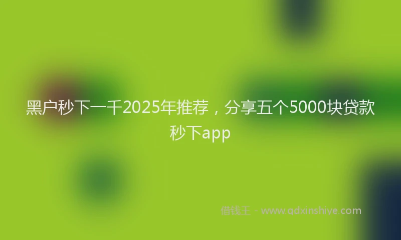 黑户秒下一千2025年推荐，分享五个5000块贷款秒下app