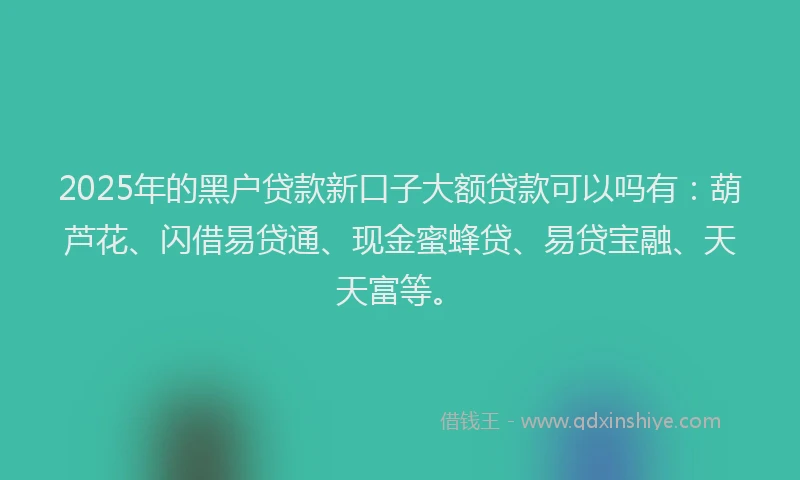 2025年的黑户贷款新口子大额贷款可以吗有：葫芦花、闪借易贷通、现金蜜蜂贷、易贷宝融、天天富等。