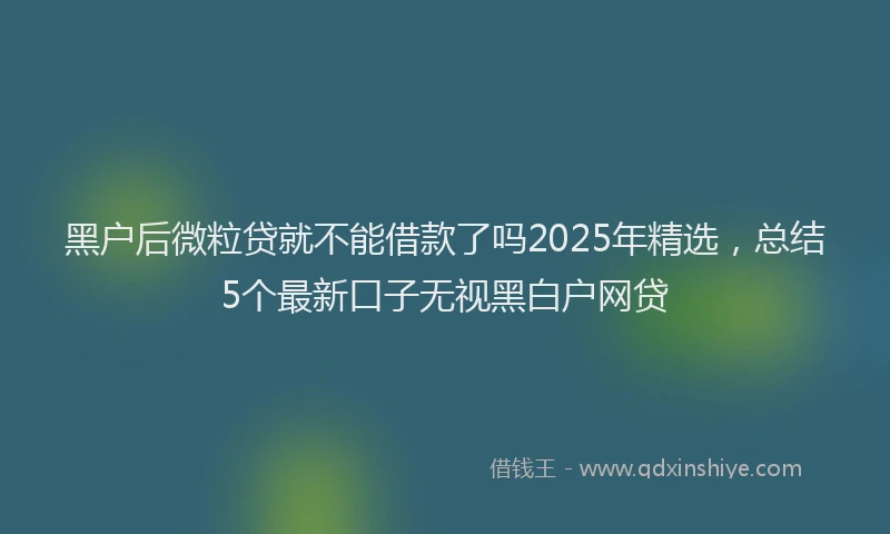 黑户后微粒贷就不能借款了吗2025年精选，总结5个最新口子无视黑白户网贷