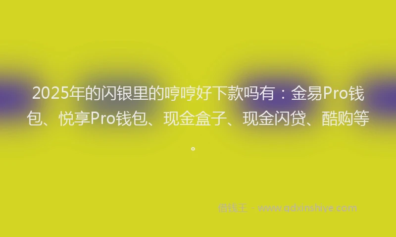 2025年的闪银里的哼哼好下款吗有：金易Pro钱包、悦享Pro钱包、现金盒子、现金闪贷、酷购等。