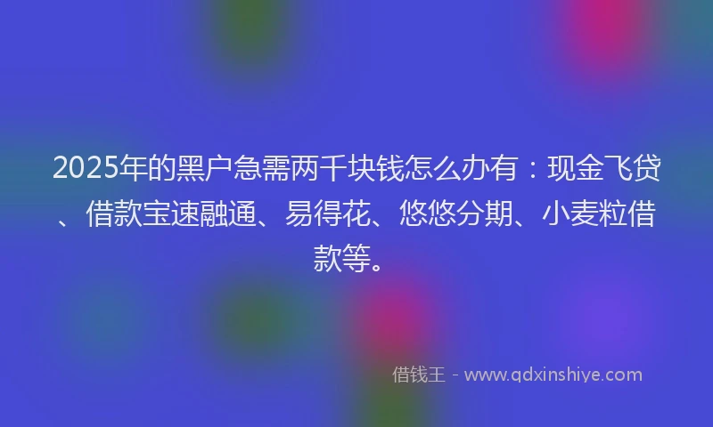 2025年的黑户急需两千块钱怎么办有：现金飞贷、借款宝速融通、易得花、悠悠分期、小麦粒借款等。
