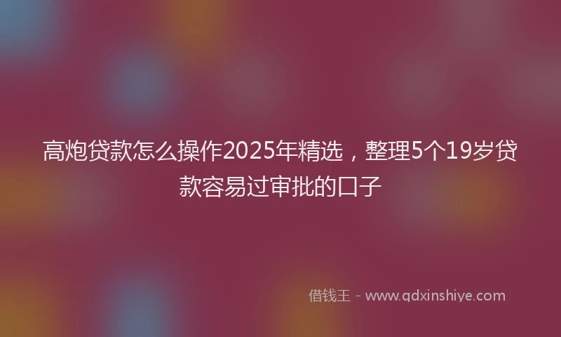 高炮贷款怎么操作2025年精选，整理5个19岁贷款容易过审批的口子