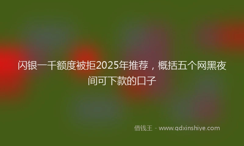 闪银一千额度被拒2025年推荐，概括五个网黑夜间可下款的口子